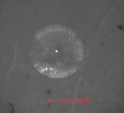 荷葉接觸角頂視時液滴形狀